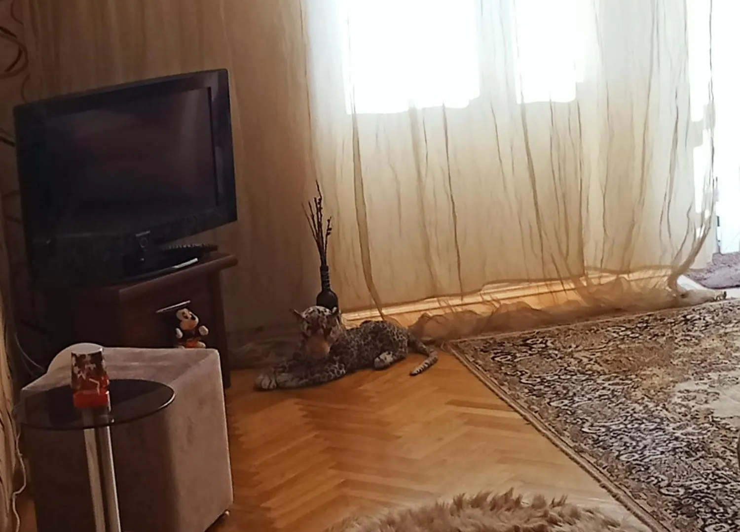 Просторная, Двухкомнатная Квартира ,С Великолепным Видом На Город, Расположенная В Центре Города Баку 0*, Bakü